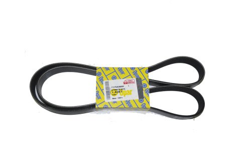 Alternatör Kayışı 1.6 Jtd Alfa Romeo Giulietta