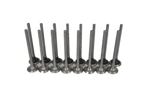 Motor Subap Emme Eksoz Tk.2.0 16 Valf Megane-Laguna