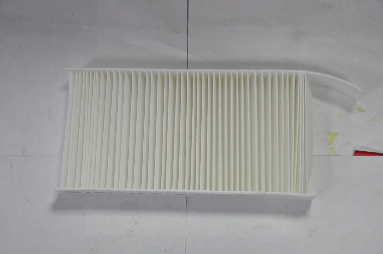 Polen Filitresi Laguna III (Karbonlu)