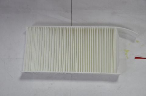 Polen Filitresi Laguna III (Karbonlu)