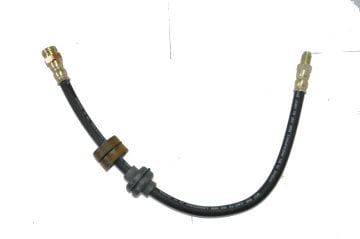 Fren Hortumu Ön Albea-Palio-Siena