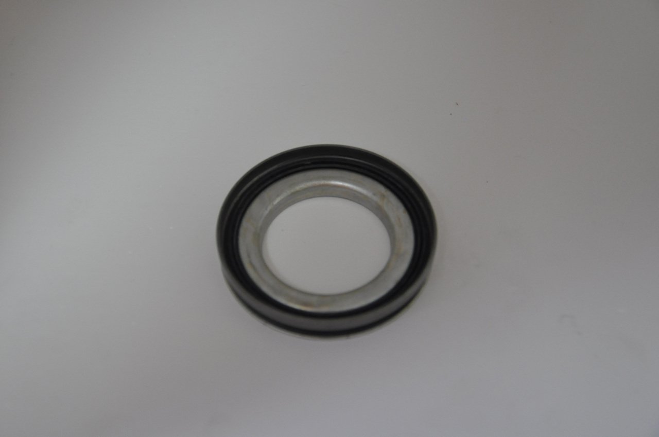 Aks Keçesi Arka R12