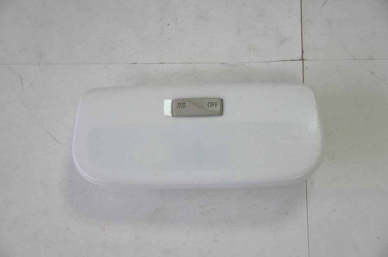 Tavan Lambası Ön Fluence-Megane III