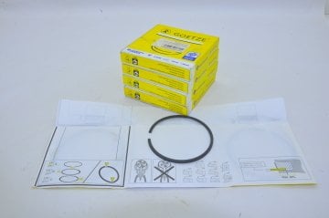 Motor Segman Tk.0.50 1.9  F9Q Trafic-Laguna-Megane-Kango Ym