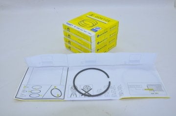 Motor Segman Tk.Std 1.6 16 Valf Megane-Clio (79.5)