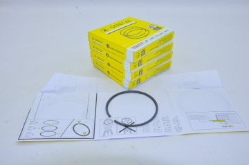 Motor Segman Tk.0.50 1.5 Clio-Kango-Megane II