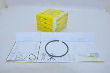 Motor Segman Tk.Std 1.9 Kango Em-R19-Expres F8Q