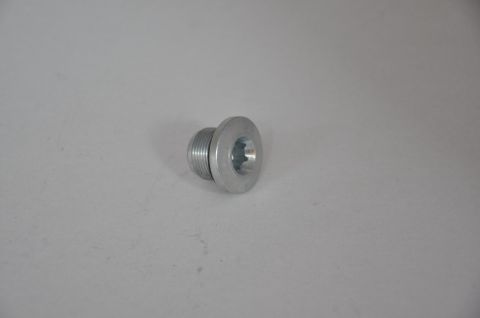 Silindir Kapak Tapası 1.2 16 Valf Albea-Palio