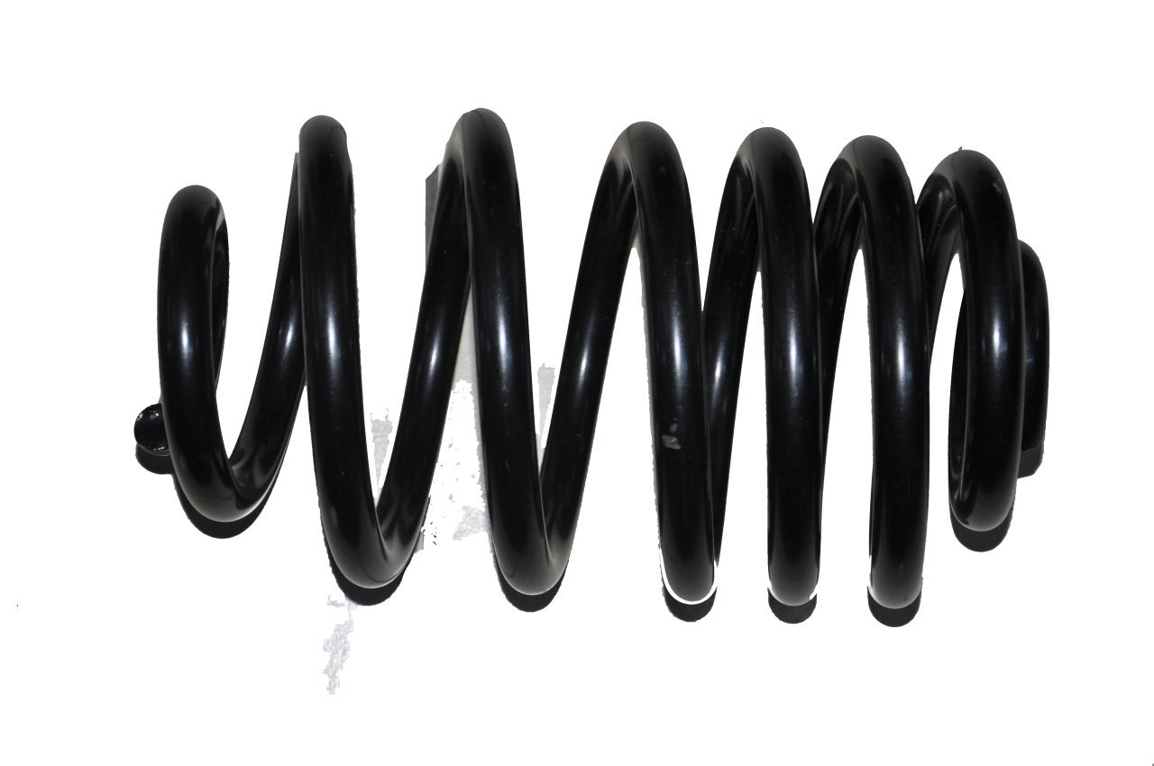 Helezon Yayı Arka Trafic II-III