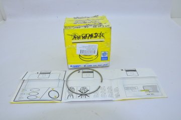 Motor Segman Tk.0.50 1.6 16 Valf Megane-Clio (79,5)