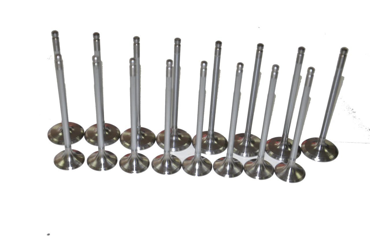 Motor Subap Emme Eksoz Tk. 1.6 16V H4M Megane IV-Duster