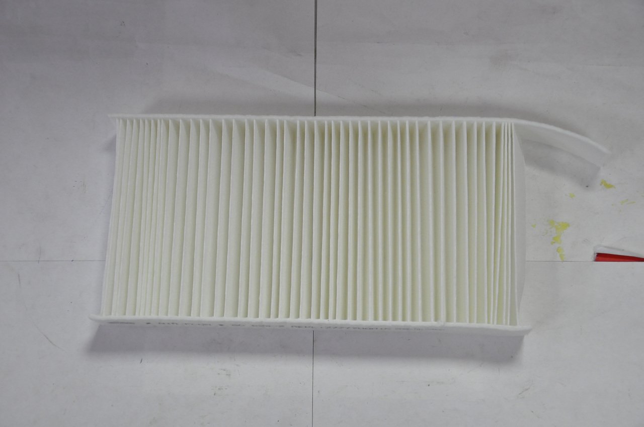 Polen Filitresi Laguna III