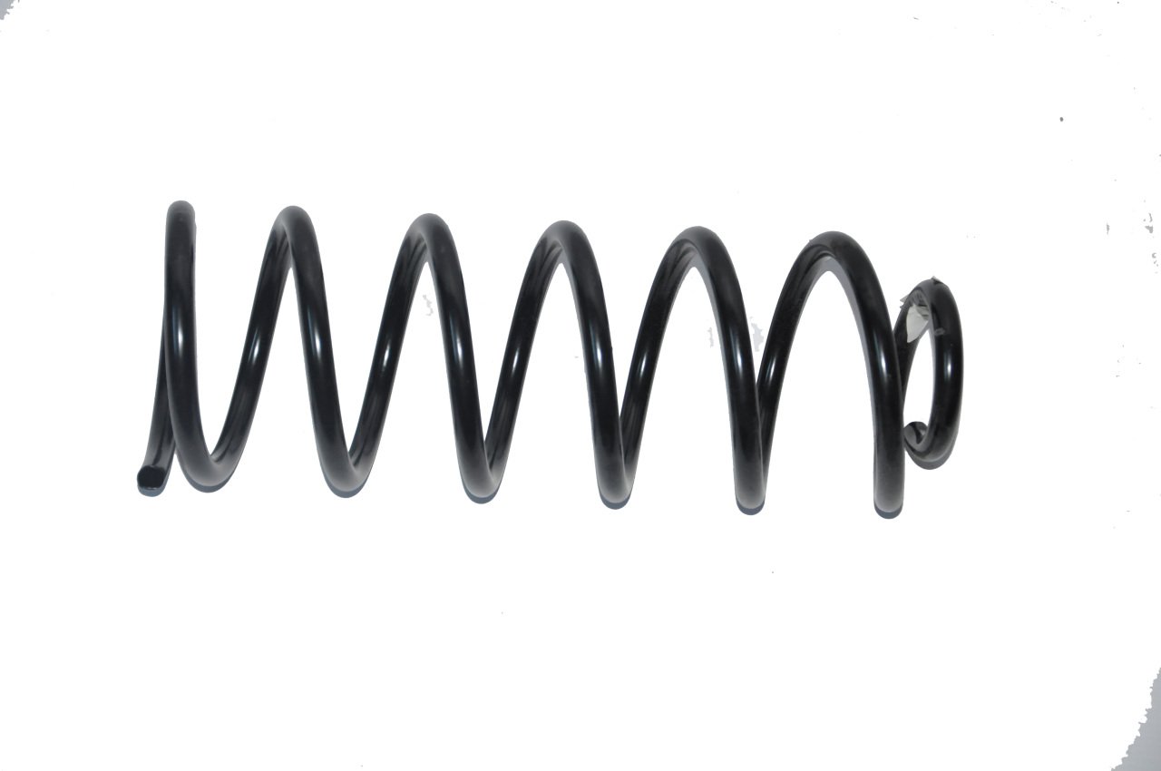 Helezon Yayı Arka Fiorino