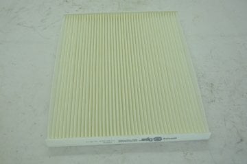 Polen Filitresi Grande Punto