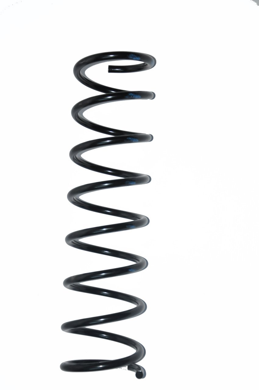 Helezon Yayı Arka Doğan-Şahin