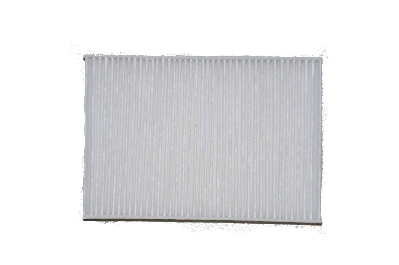 Polen Filitresi Clio II