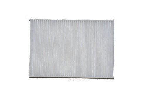 Polen Filitresi Clio II