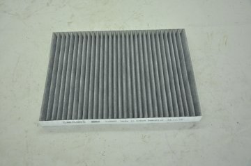 Polen Filitresi Koleos