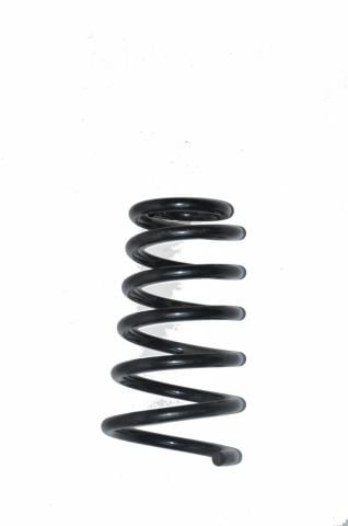 Helezon Yayı Arka Albea (Yeşil-Beyaz)