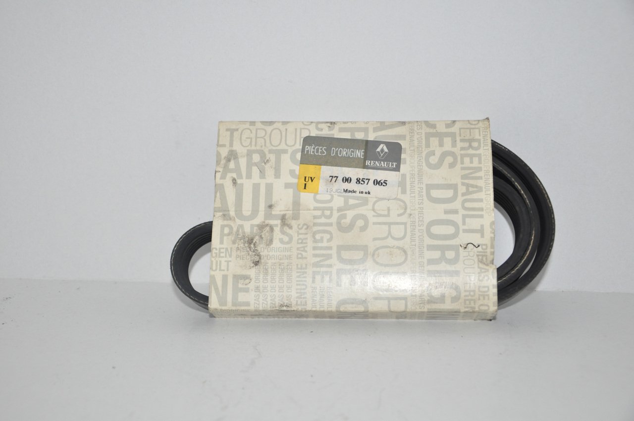 Alternatör Kayışı Master 2004-2011 Arası (6Pk1165)