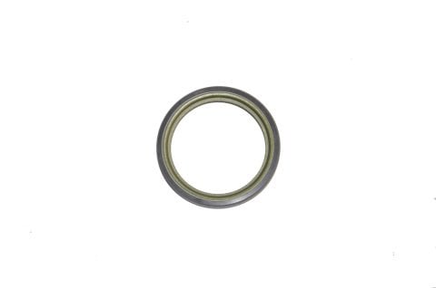 Fren Kampana Arka Abs Okuyucu Halkası Clio III-Modüs