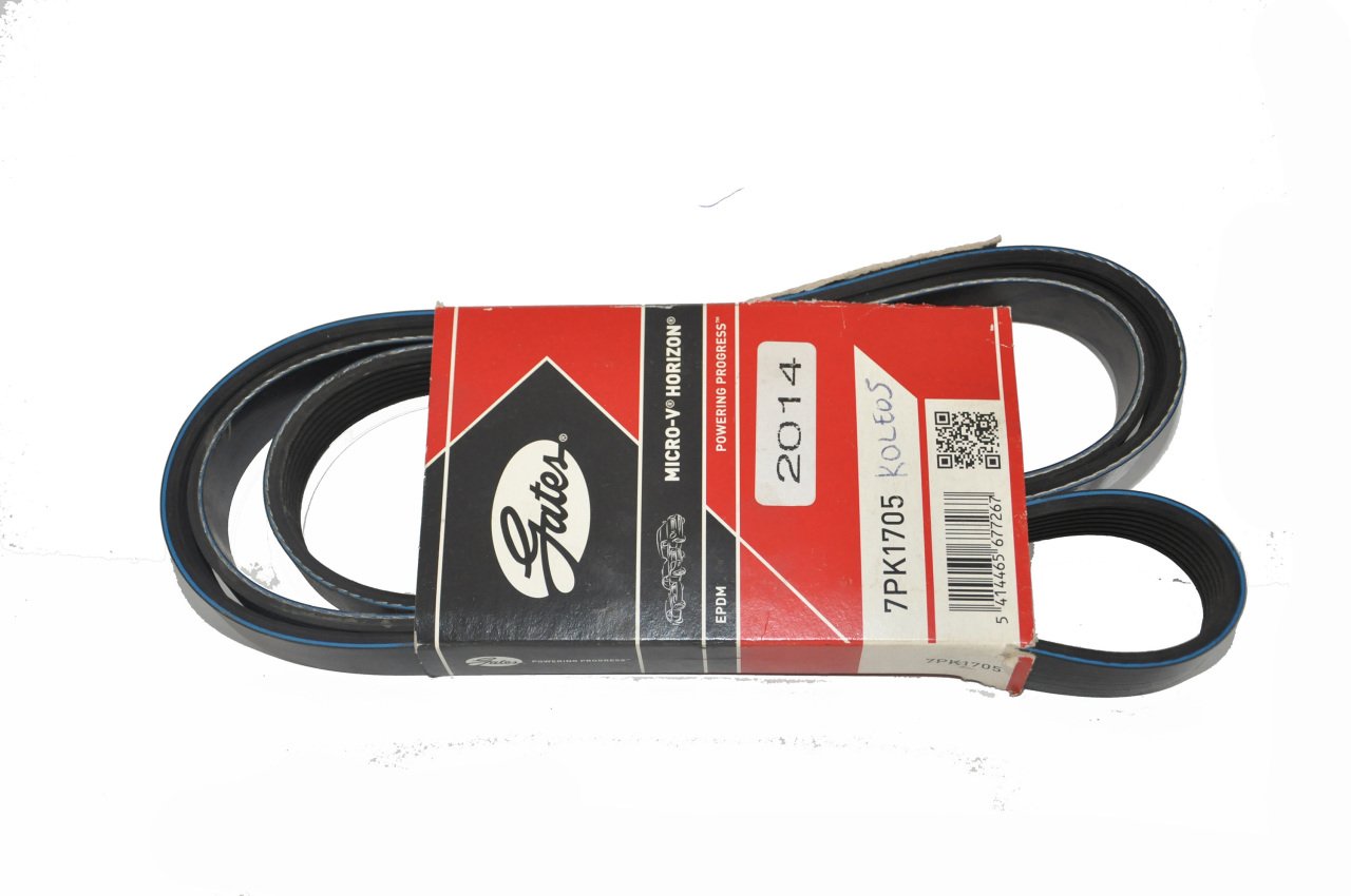 Alternatör Kayışı 2.0 M9R Latitude-Laguna III-1.5 Koleos