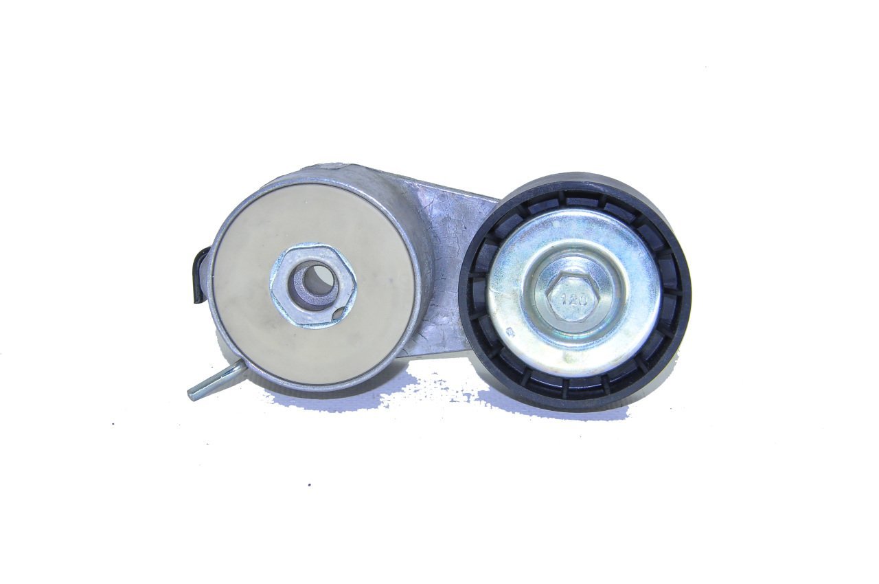 Alternatör Gergi Rulmanı (Kütüklü) 1.4 16 Valf Grande Punto-Linea-Doblo