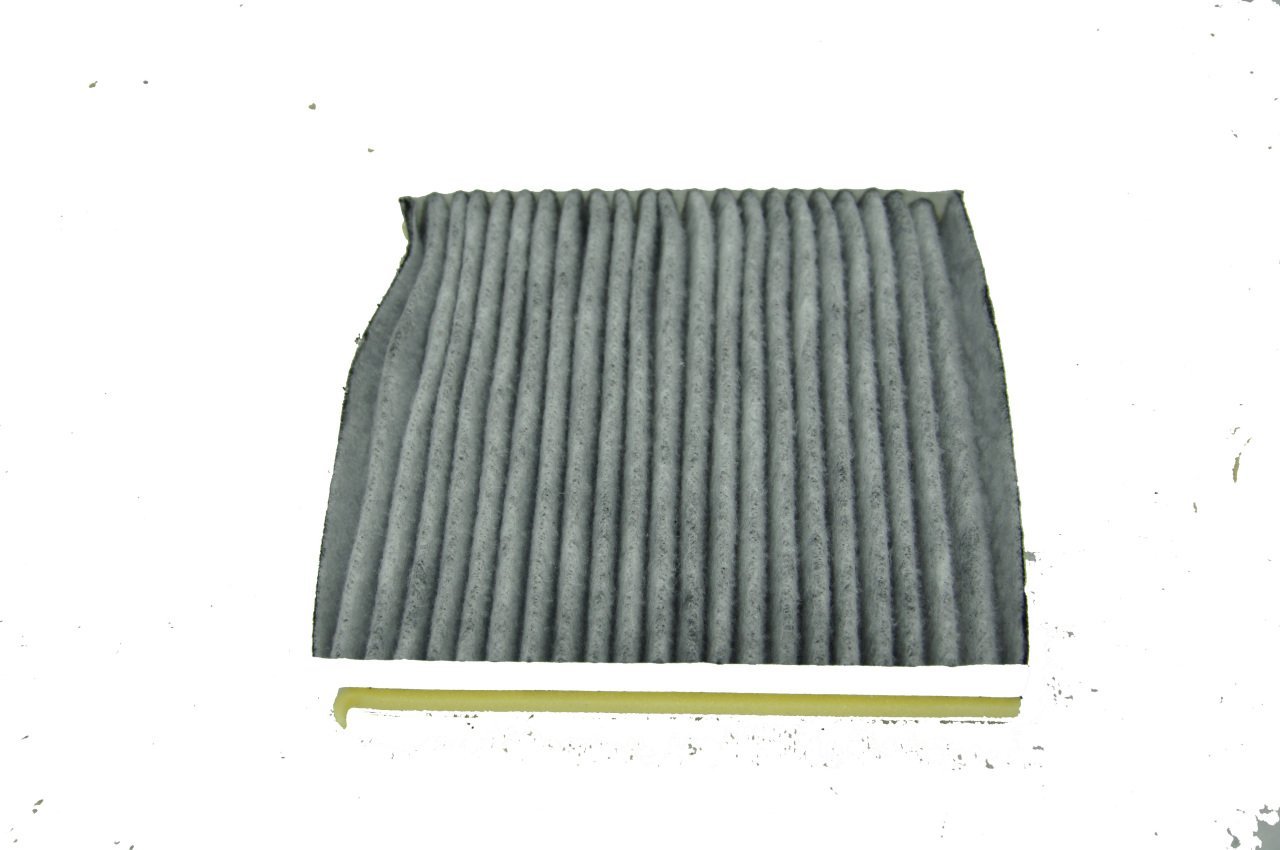 Polen Filitresi Laguna II