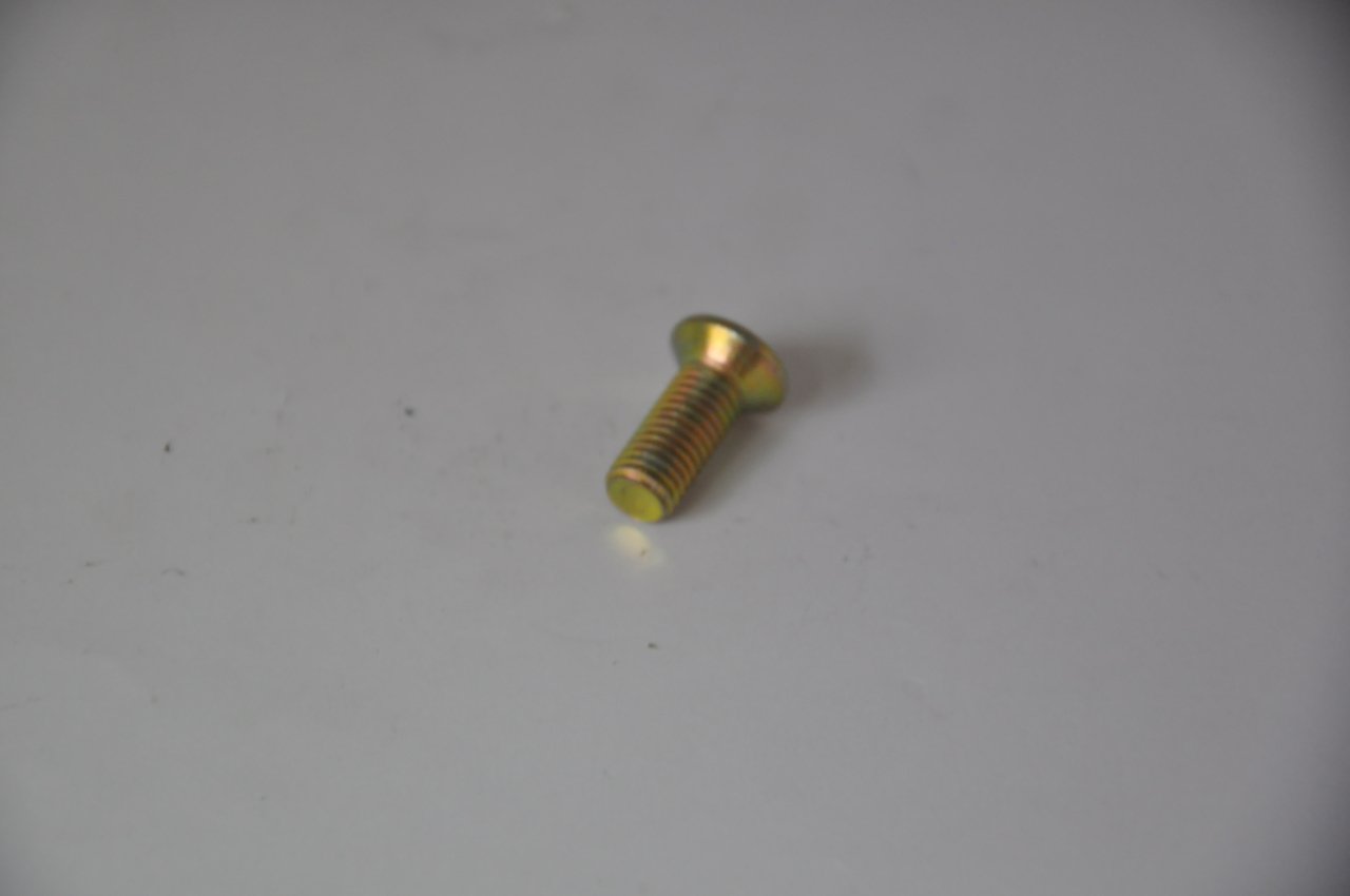 Kapı Menteşe Civatası R9-R11-R19