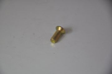 Kapı Menteşe Civatası R9-R11-R19