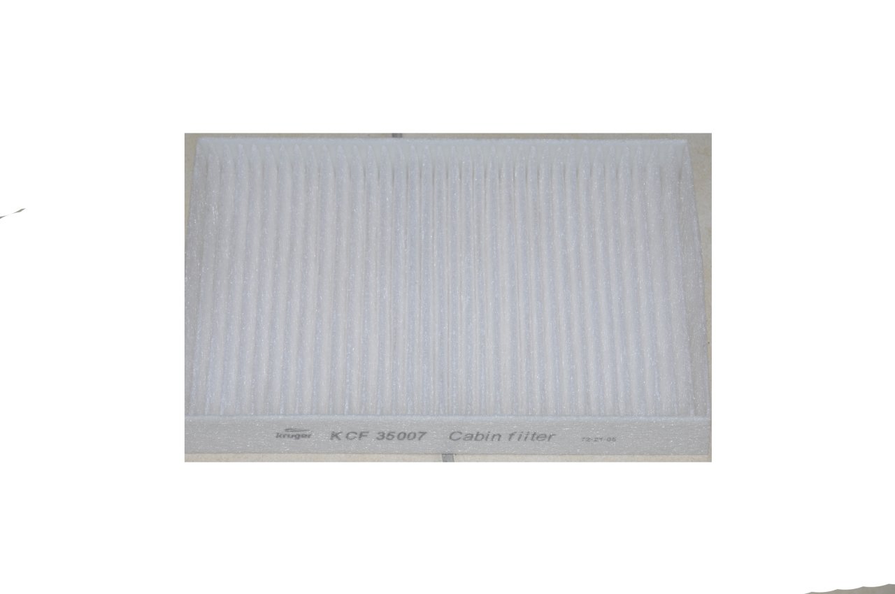 Polen Filitresi Fluence