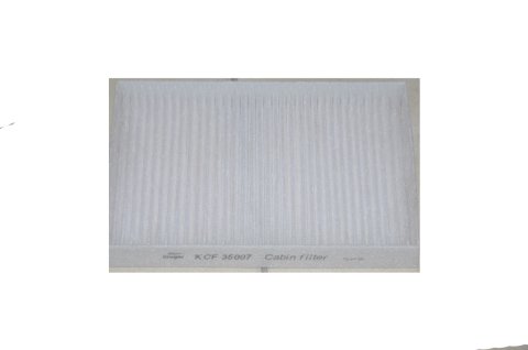 Polen Filitresi Fluence