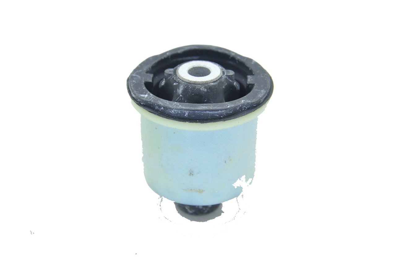 Torsiyon Burcu Clio IV